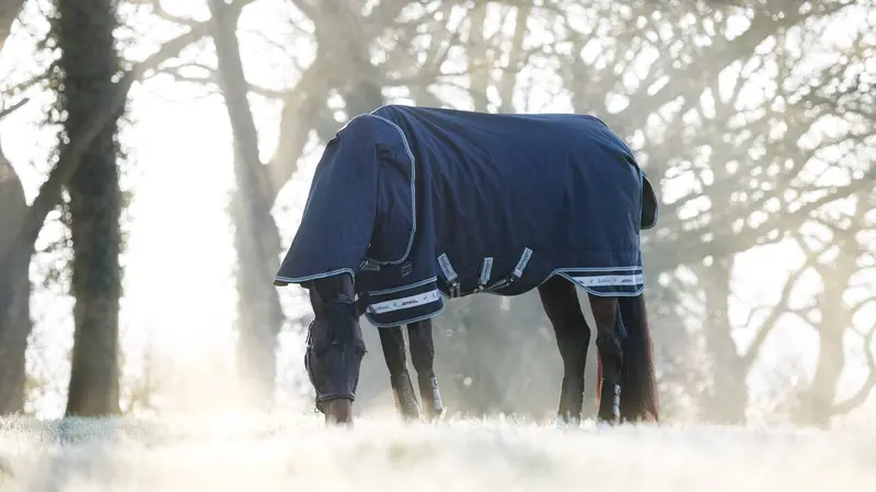 Super Sale Lemieux Arika Storm-Tek Blanket - Medium 200G 3