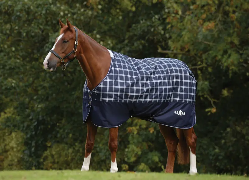 Super Sale Saxon Defiant 600D Standard Neck Medium Turnout Blanket 1