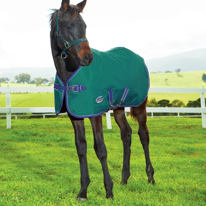 Super Sale Weatherbeeta 1200D Foal Standard Neck Medium Ii 1