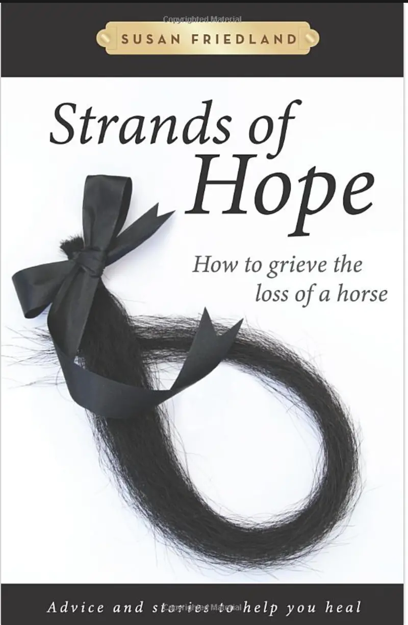 Susan Friedland Book 2