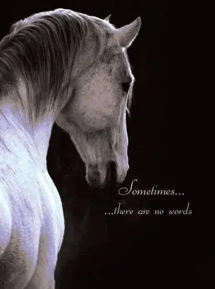 Sympathy Card: Sometimes There Are No Words 1