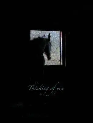 Sympathy Card: Thinking Of You Horse Card. 1