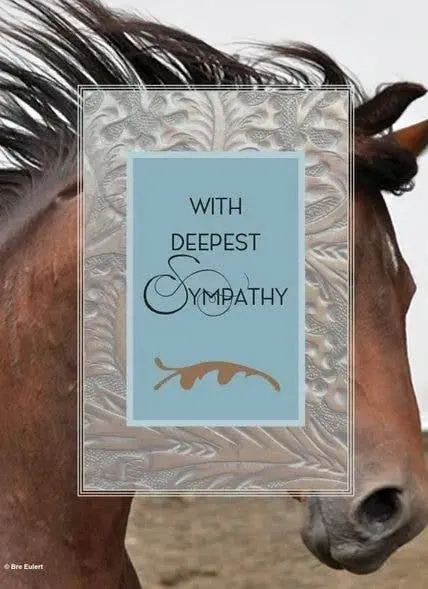 Sympathy Card: With Deepest Sympathy Horse And Leather 1