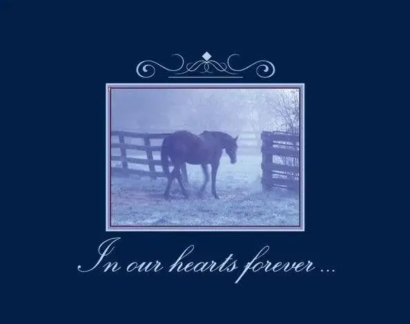 Sympathy Card: With Sympathy Horse Card 1