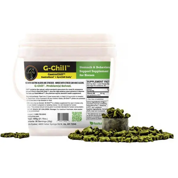 Synnutra G-Chill Gastrochill Supplement 1