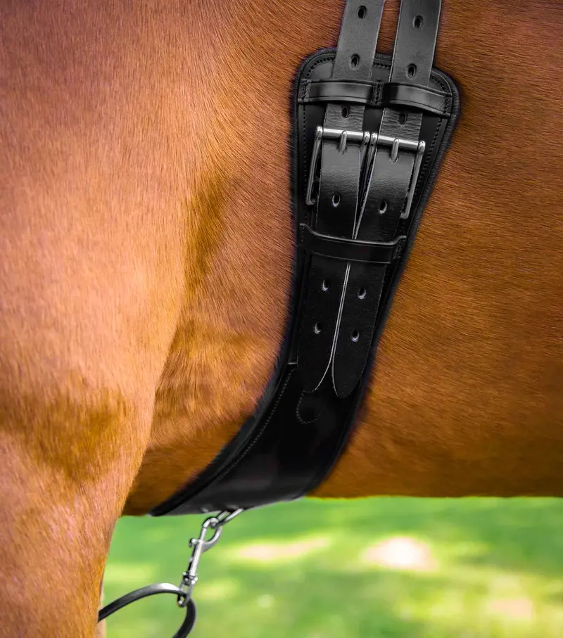 Tamarro Anatomic Leather Girth 2