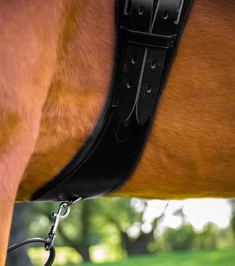 Tamarro Anatomic Leather Girth 4