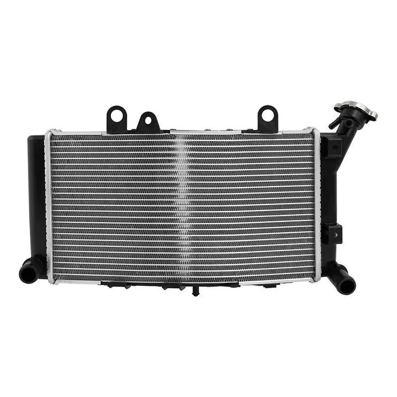 Tcmt Radiator Cooler Cooling Fit For Bmw F750gs '19-'23 F850gs '19-'23 1