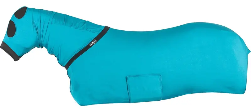 Teal Full Body Slinky 1