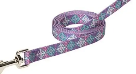 Terrain Premium Patterned Dog Leash 1