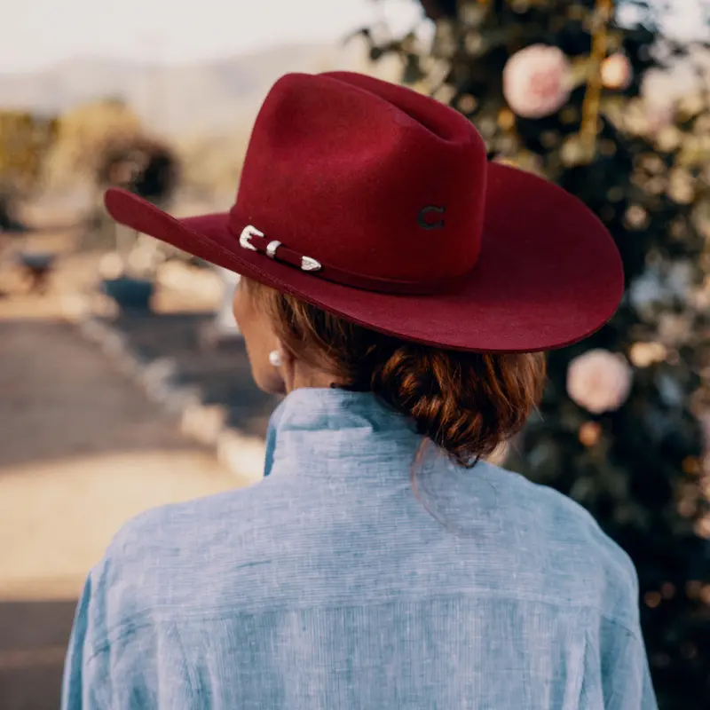 The Cowgirl Hat 2