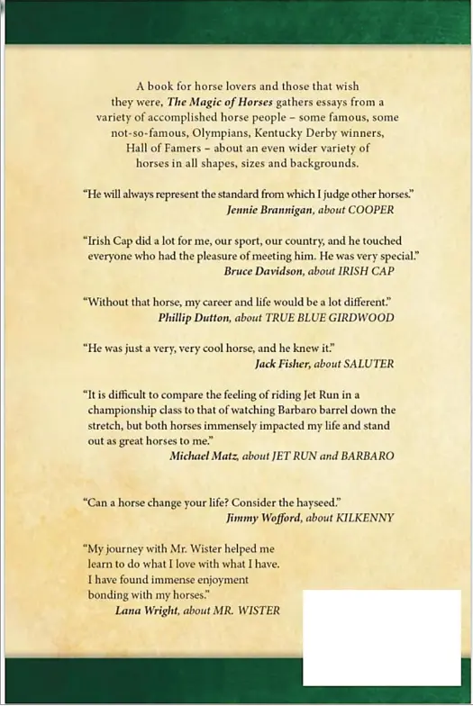 The Magic Of Horses Book 2