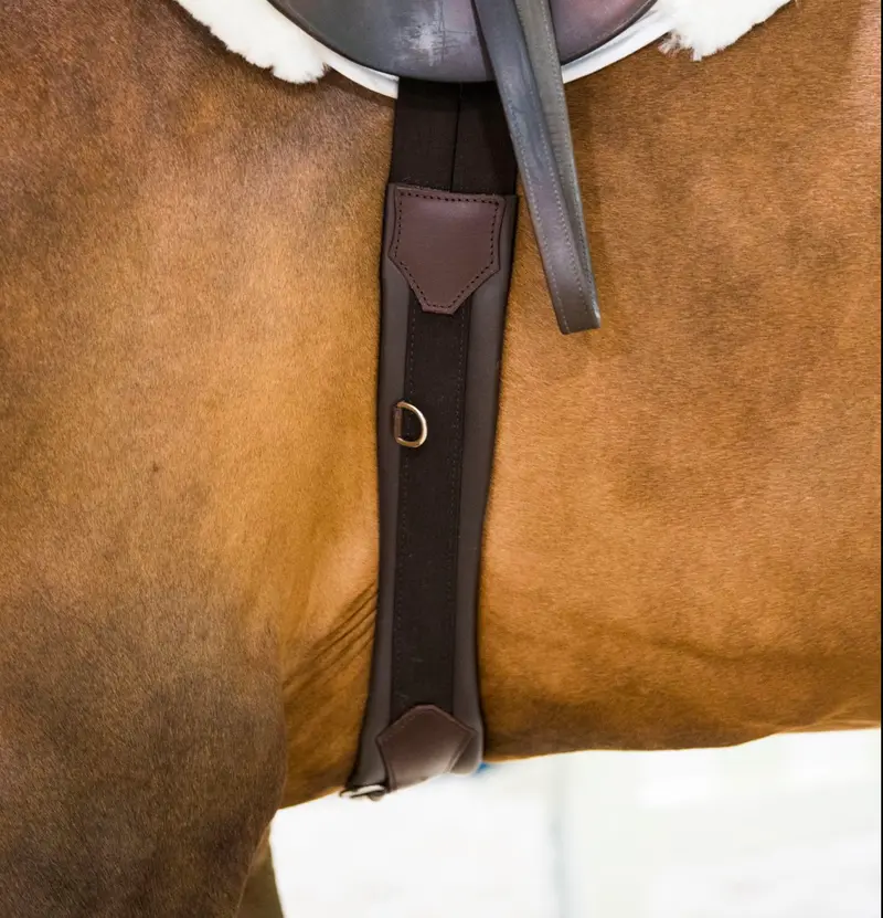 Thinline Anatomic Hunter Jumper Girth 3