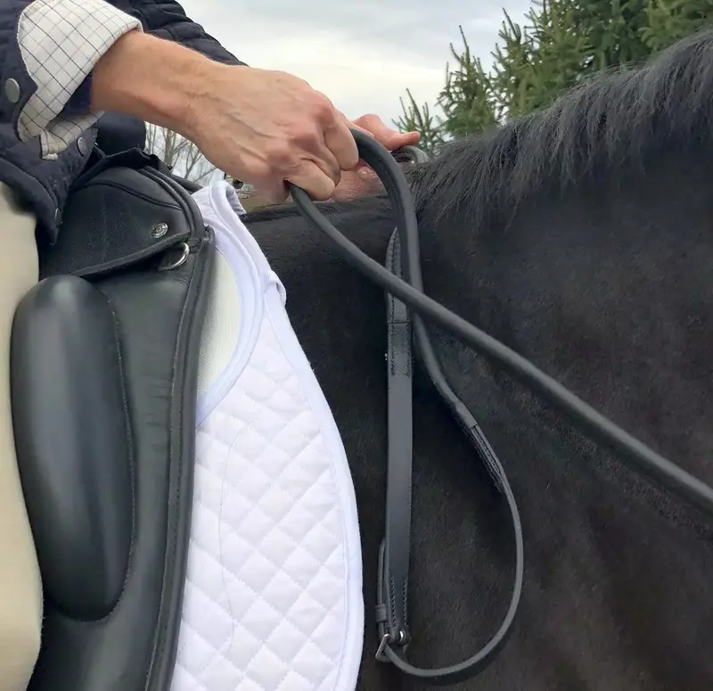 Thinline English Reins With Hook Studs 1