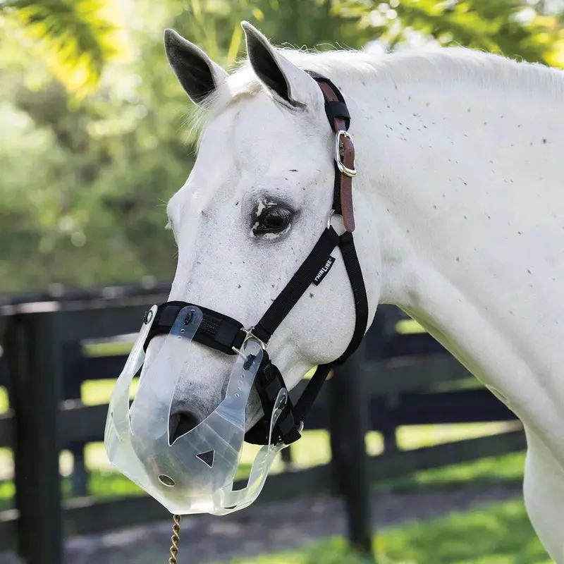 Thinline Flexible Filly Slow Feed Grazing Muzzle 1