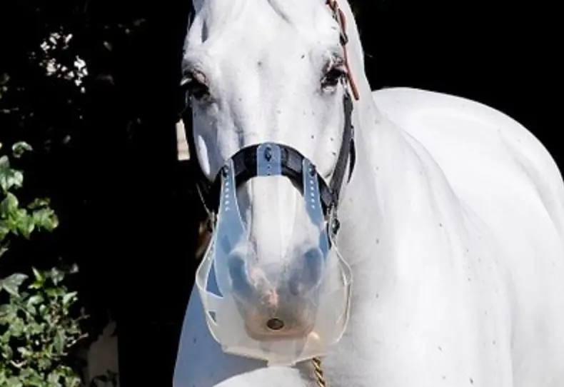Thinline Flexible Filly Slow Feed Grazing Muzzle 3