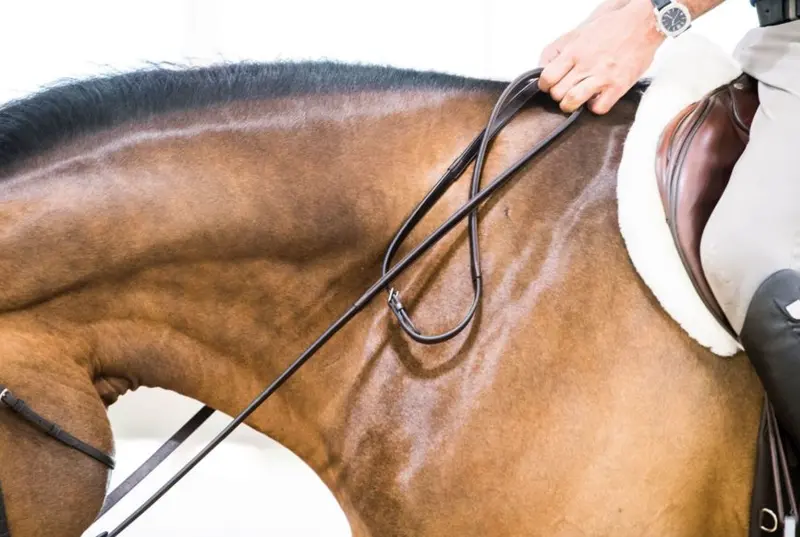 Thinline Lined English Reins 1