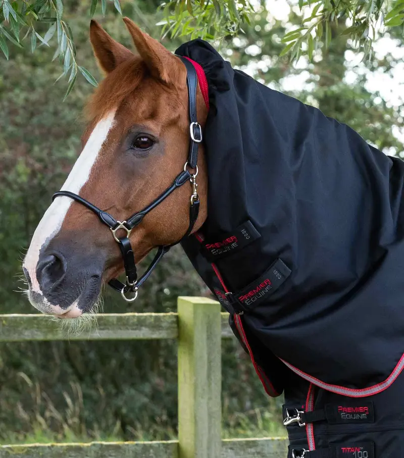 Titan 100G Turnout Rug With Snug-Fit Neck Cover Black 2