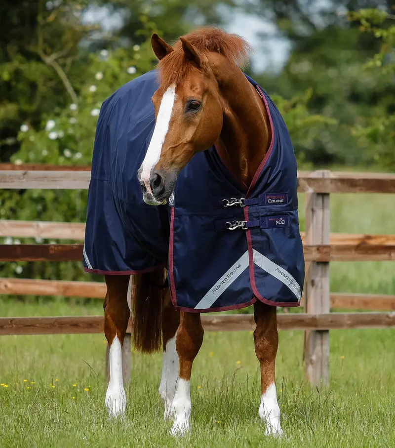 Titan 200G Original Turnout Rug Navy 1