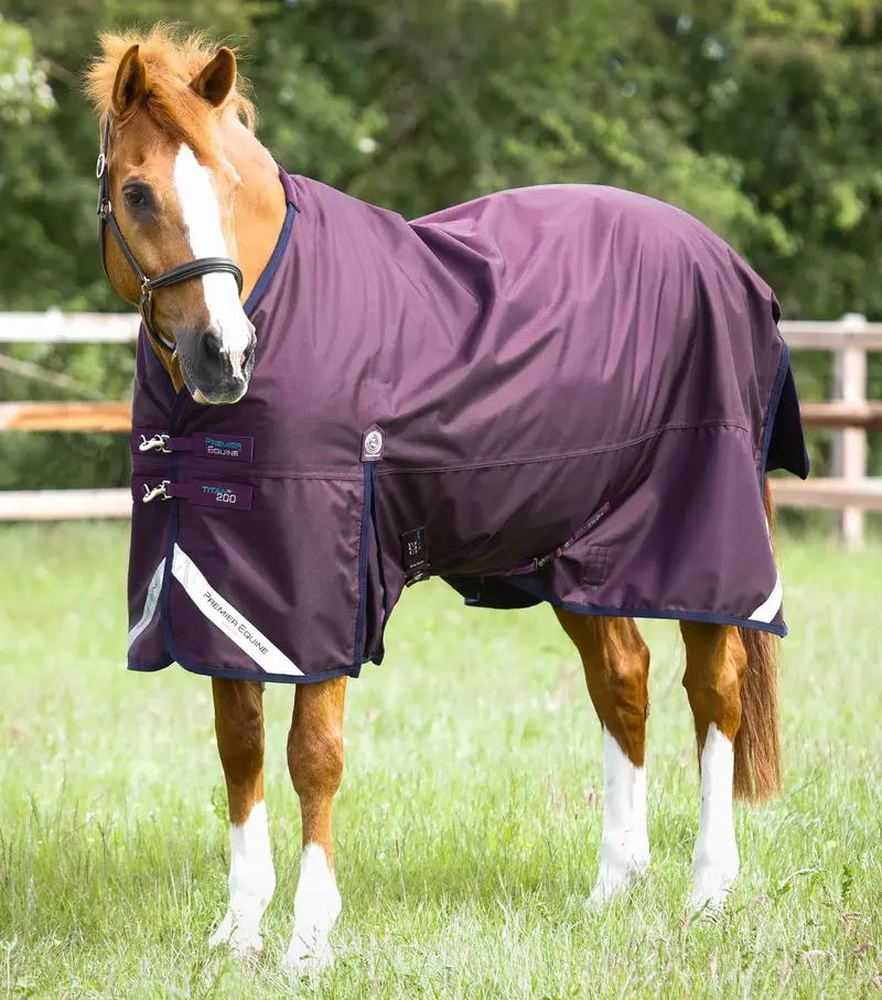 Titan 200G Original Turnout Rug Purple 1