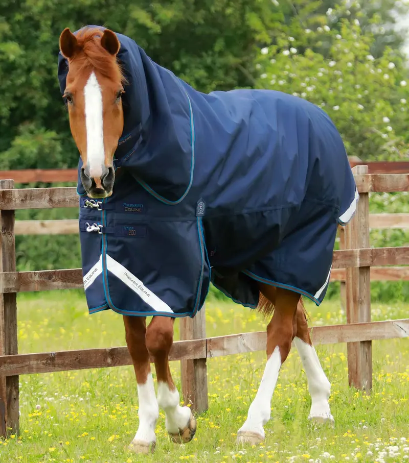 Titan 200G Turnout Rug With Snug-Fit Neck Cover Navy 1