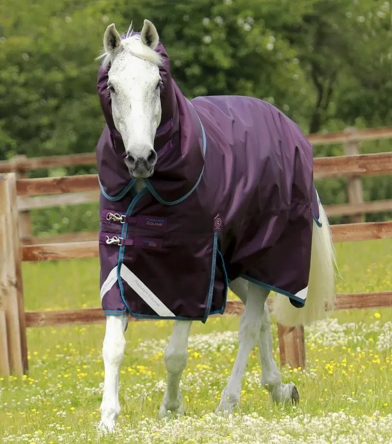 Titan 200G Turnout Rug With Snug-Fit Neck Cover Purple 1