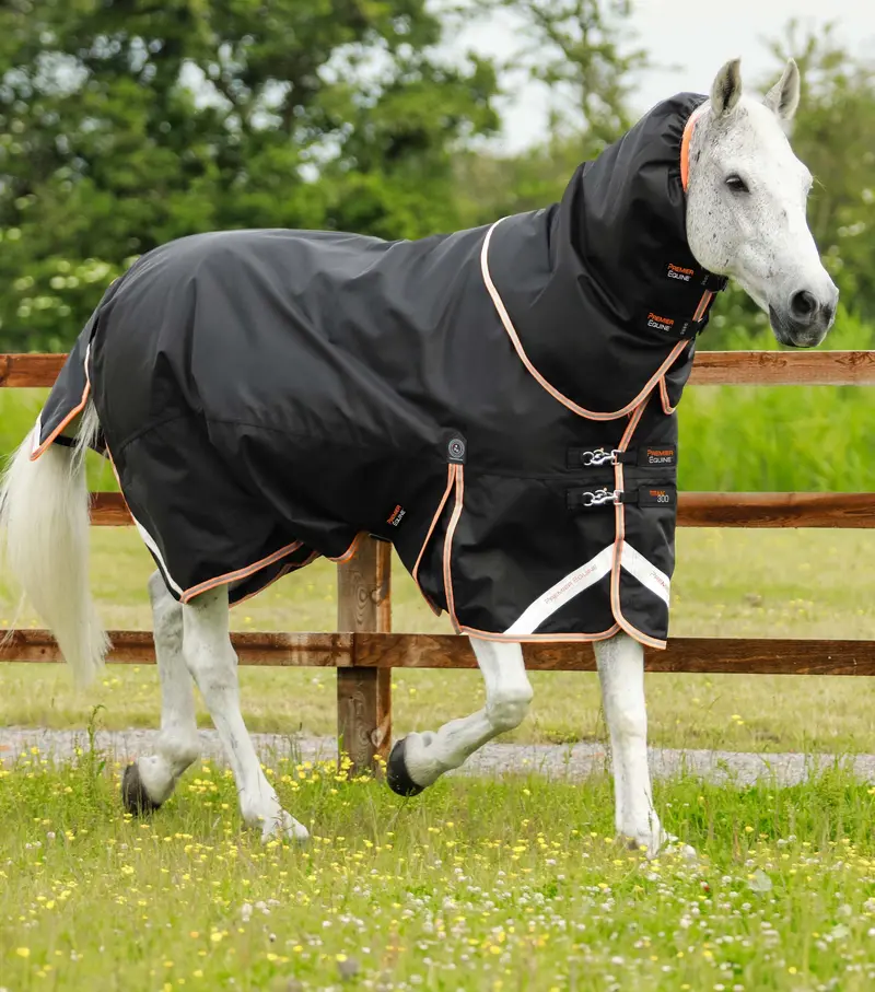Titan 300G Turnout Rug With Snug-Fit Neck Cover Black 1