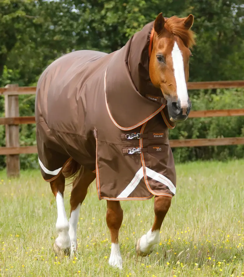 Titan 300G Turnout Rug With Snug-Fit Neck Cover Brown 1