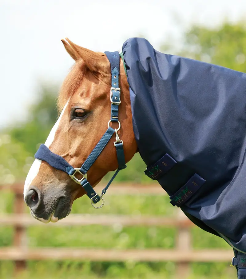 Titan 40G Neck Cover (40G Fill) 1