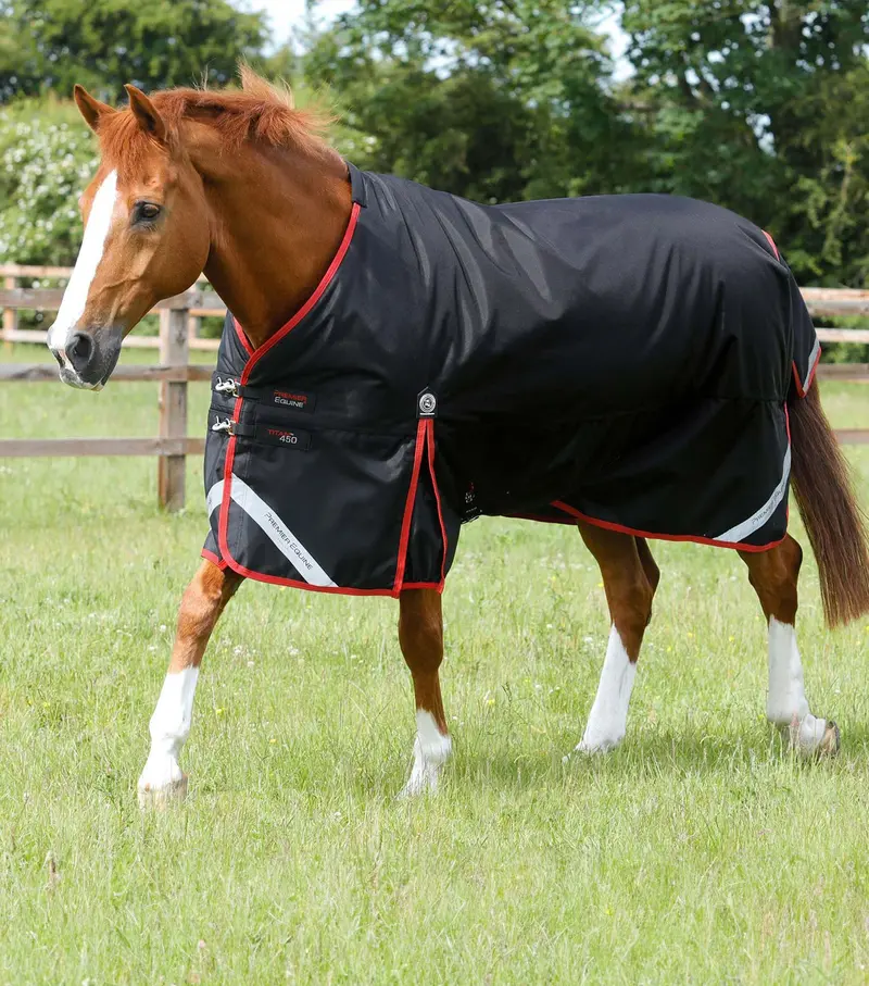Titan 450G Original Turnout Rug Black 1