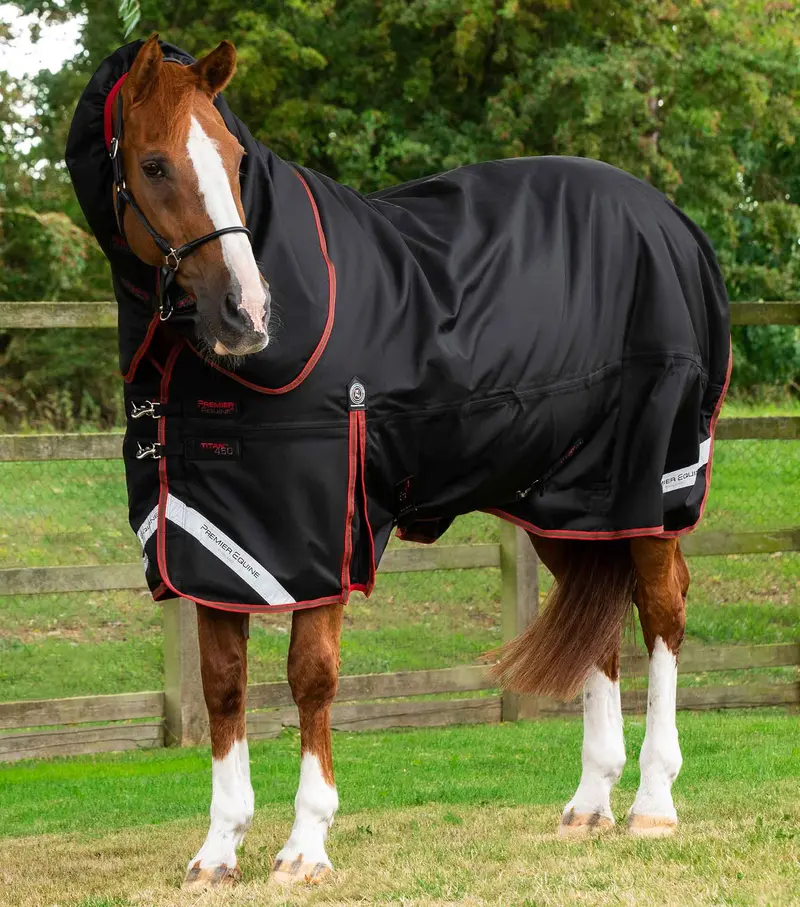 Titan 450G Turnout Rug With Snug-Fit Neck Cover Black 1