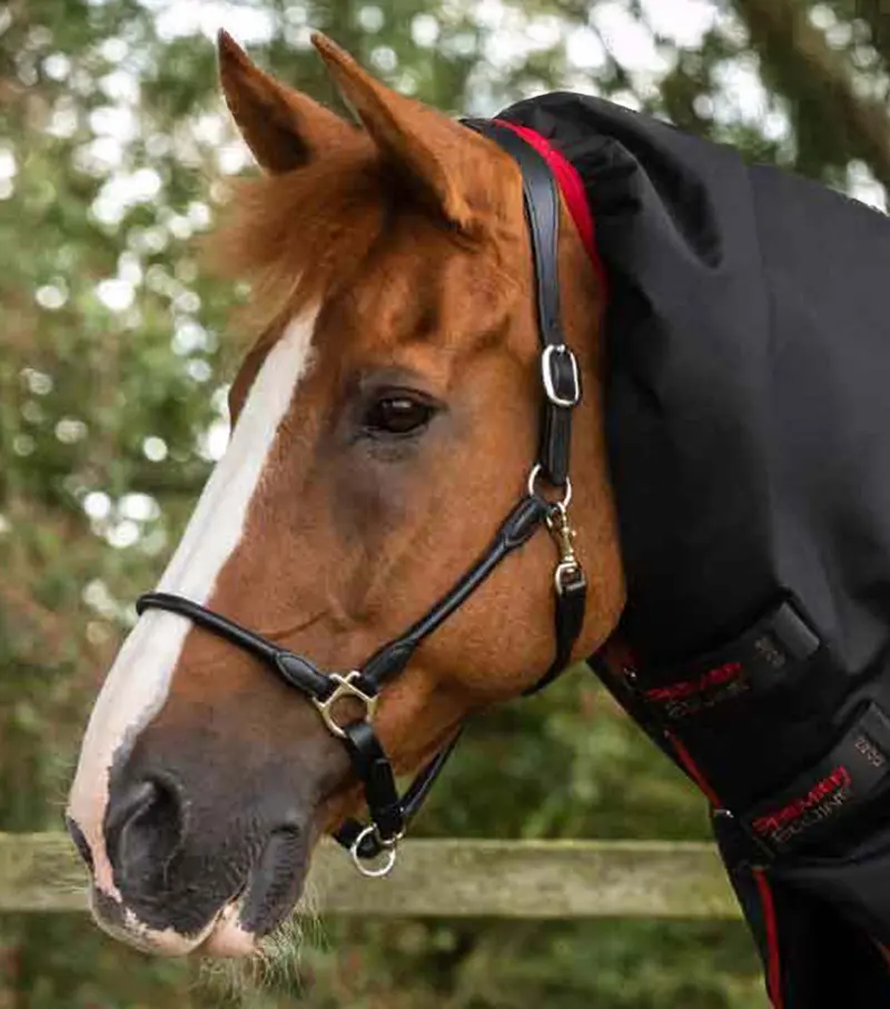 Titan 450G Turnout Rug With Snug-Fit Neck Cover Black 2