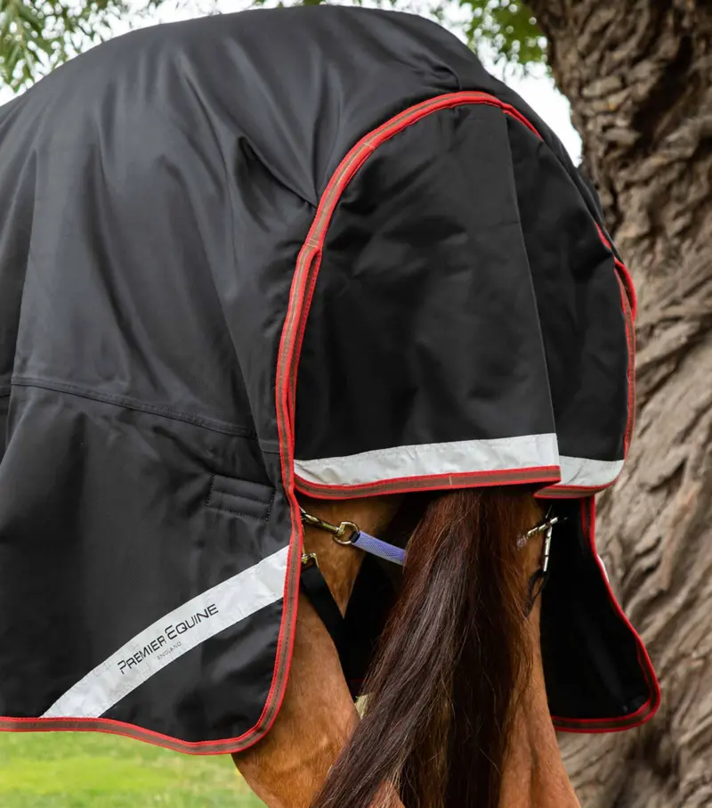 Titan 450G Turnout Rug With Snug-Fit Neck Cover Black 5