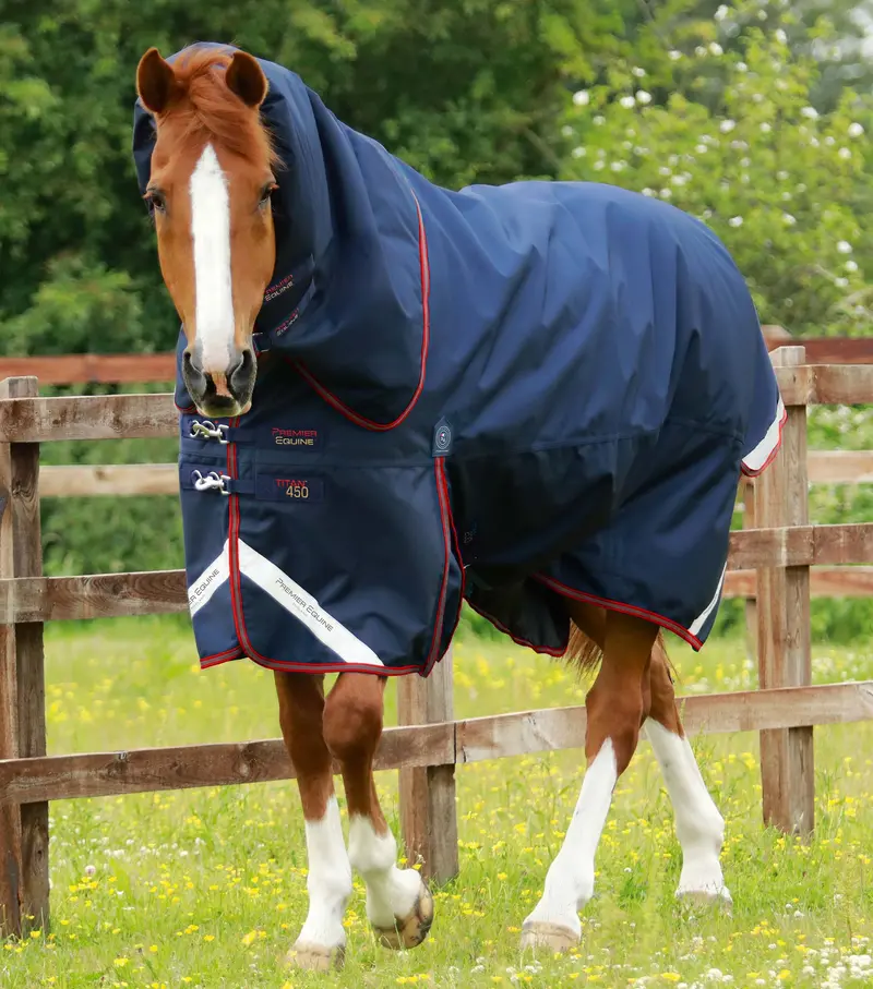 Titan 450G Turnout Rug With Snug-Fit Neck Cover Navy 1