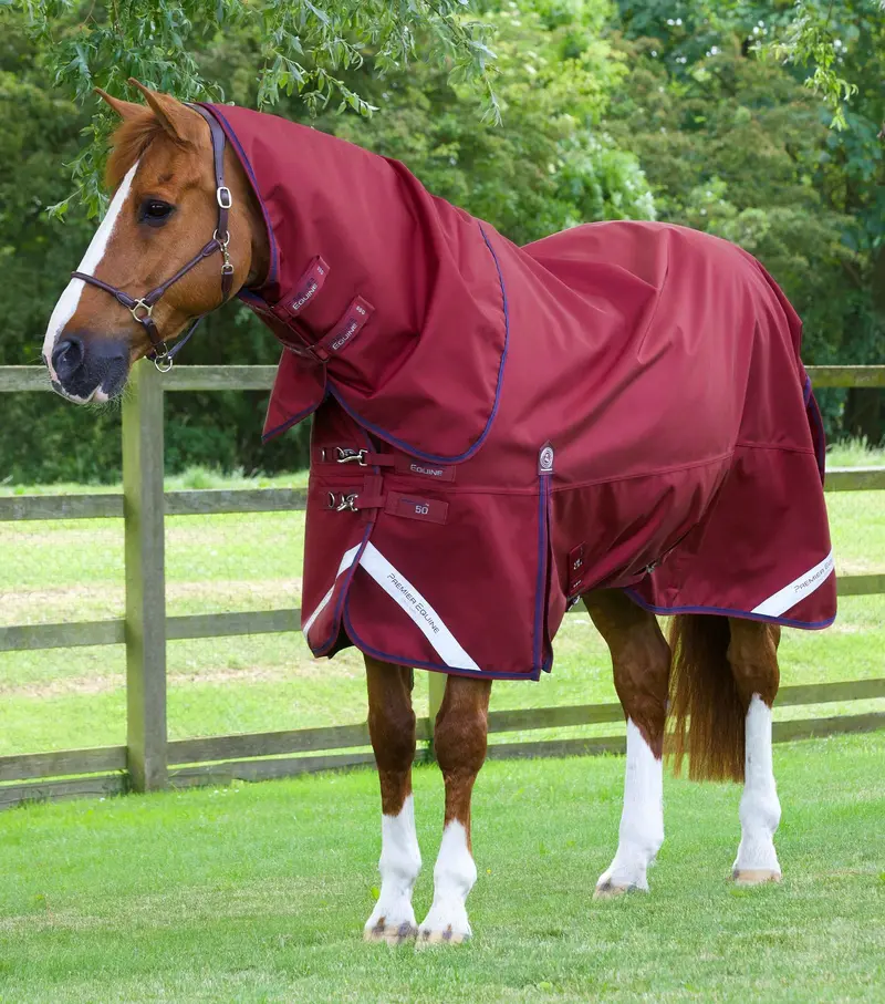 Titan 50G Turnout Rug With Classic Neck Cover Burgundy 1