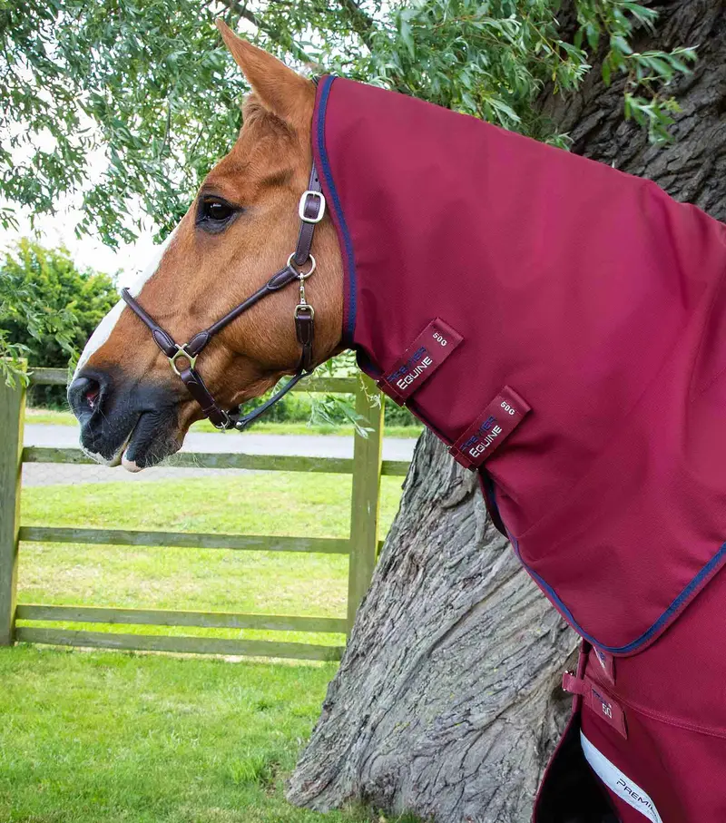 Titan 50G Turnout Rug With Classic Neck Cover Burgundy 2