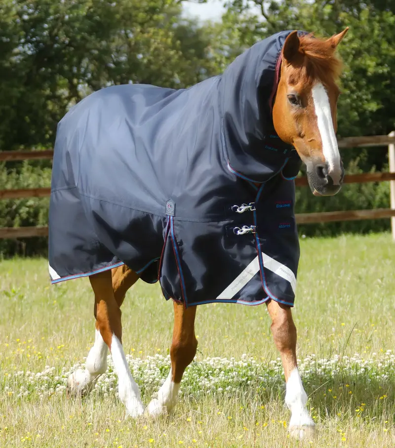 Titan Storm 200G Combo Turnout Rug With Snug-Fit Neck Navy 1