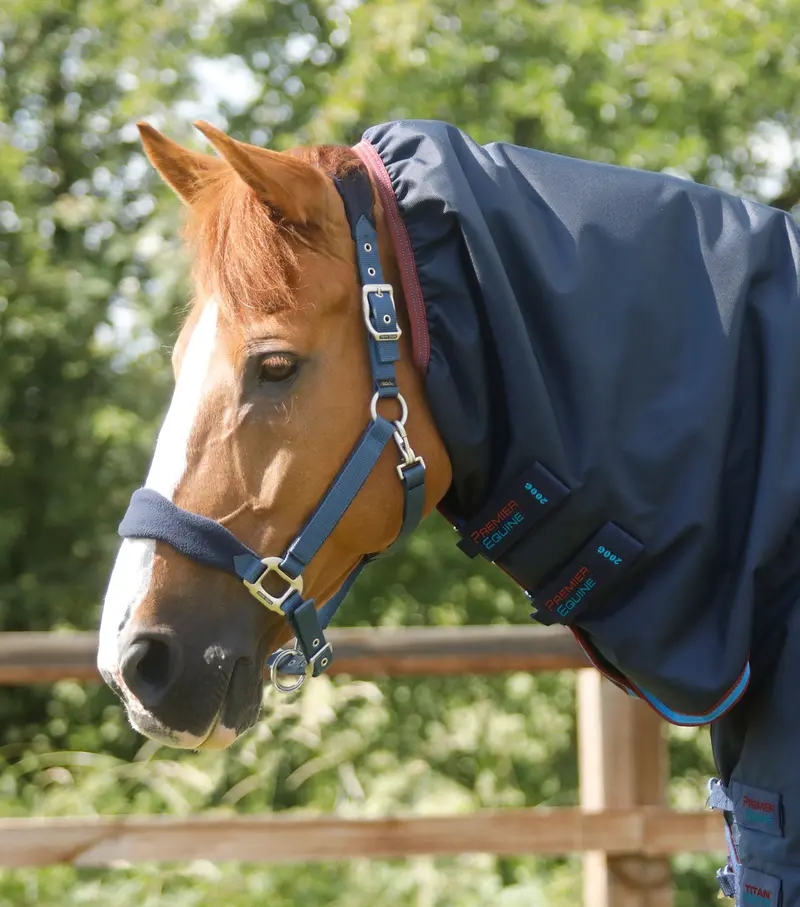 Titan Storm 200G Combo Turnout Rug With Snug-Fit Neck Navy 2