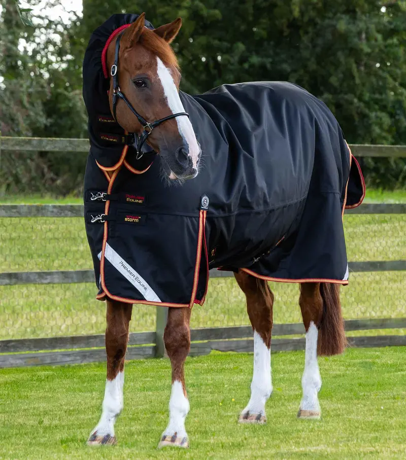 Titan Storm 450G Combo Turnout Rug With Snug-Fit Neck Black 1