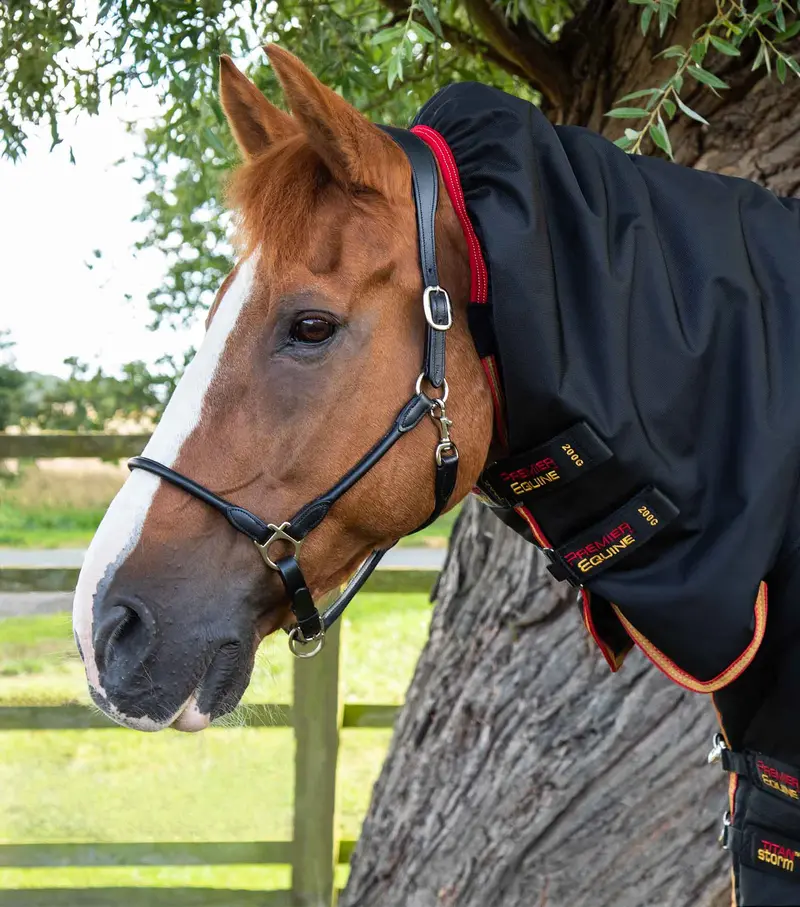 Titan Storm 450G Combo Turnout Rug With Snug-Fit Neck Black 2