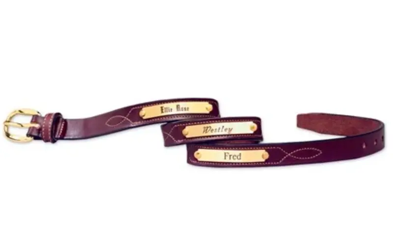 Tory 3/4" Youth Nameplate Belt 2