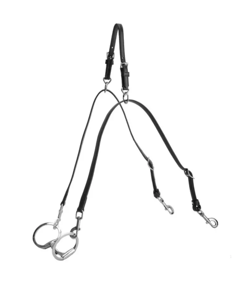 Tory Anti-Grazing Device 1