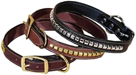 Tory Clincher Dog Collar 1