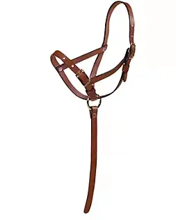 Tory Foal Slip Halter With Catch Strap 1