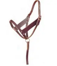 Tory Foal Slip Halter With Catch Strap And Wide Cheeks 1