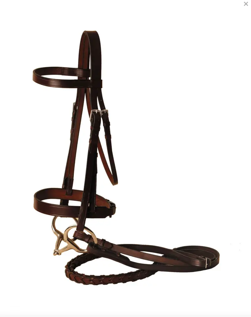 Tory Fox Hunt Bridle Horse Havana 1