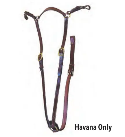 Tory Heavy Duty Hunt Breast Plate With Brass Hardware 1