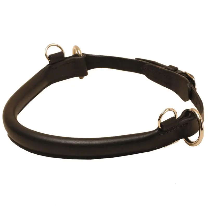 Tory Jump Hackamore 1