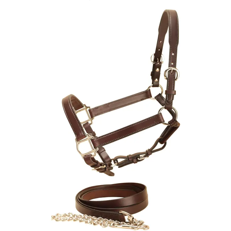 Tory Leather 1" Wide Bridle Leather Halter And Lead 1
