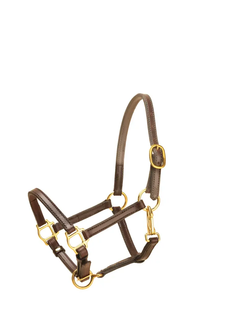 Tory Leather 5/8 In Weanling Halter 1